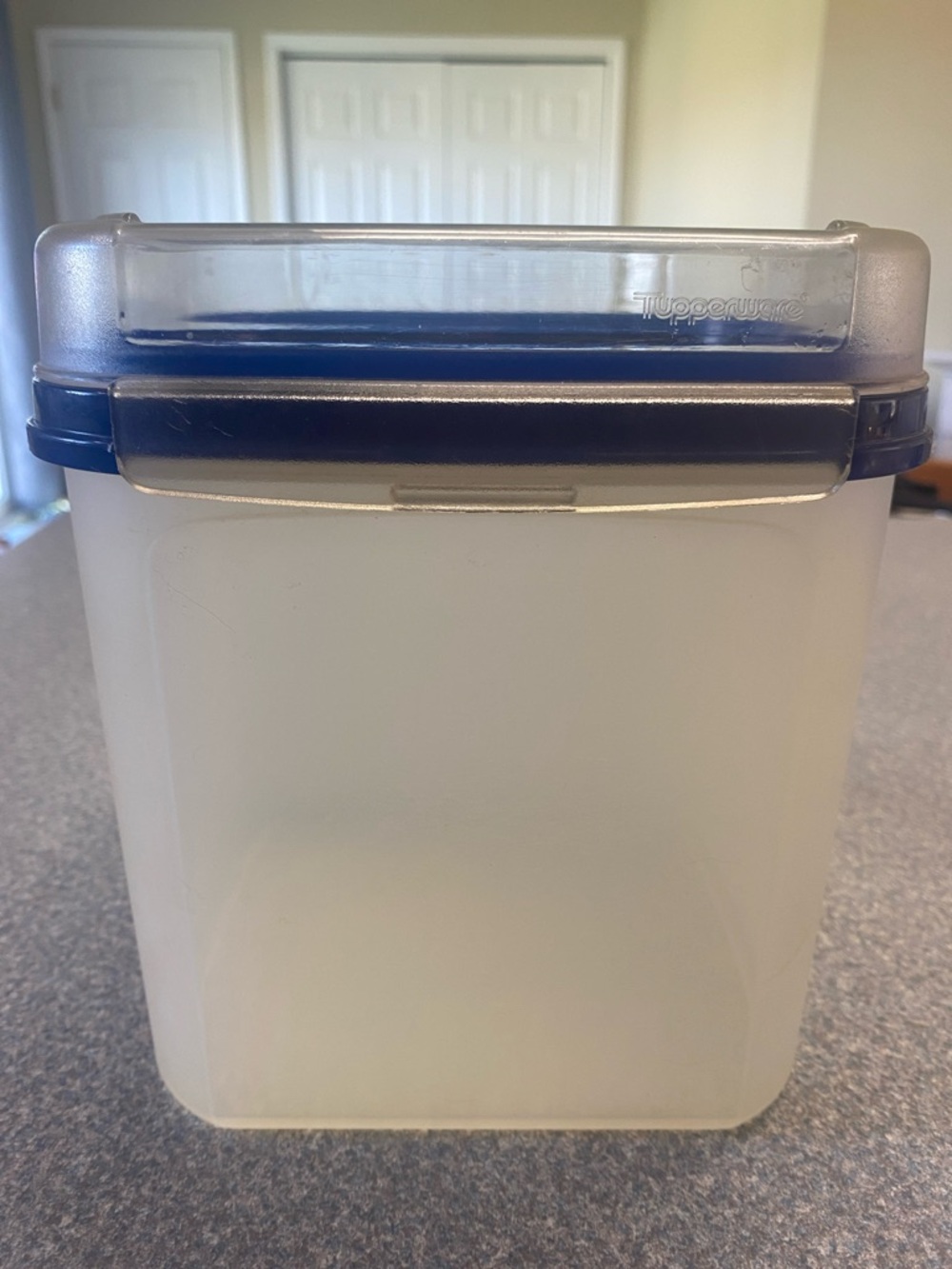 Vintage Tupperware Clear Storage Canister with Blue Locking Lid